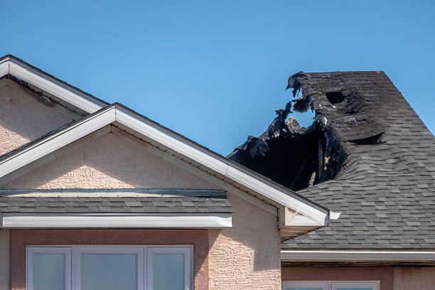 Licensed Fire Damage Removal service in Victoria, MN - Fire Damage Biloxi